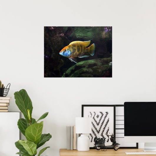 Giraffe Cichlid Poster (Thuiskantoor)