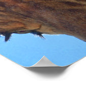 Giraffe Close Up en Sunshine Fotografische Print (Hoek)