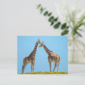 Giraffe Couple Portret Briefkaart (Staand voorkant)
