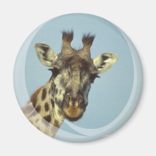 Giraffe Design Magnet