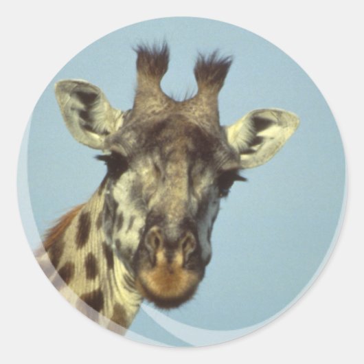 Giraffe Design Stickers (Voorkant)