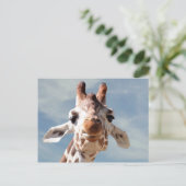 Giraffe dicht bij Blue Sky Briefkaart (Staand voorkant)