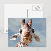 Giraffe dicht bij Blue Sky Briefkaart (Voorkant / Achterkant)