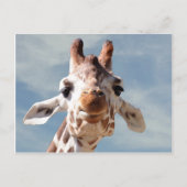 Giraffe dicht bij Blue Sky Briefkaart (Voorkant)