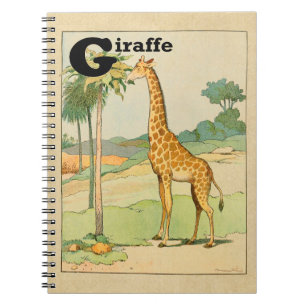 Giraffe die Acacia in de Woestijn eten Notitieboek