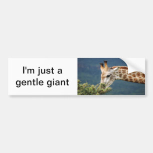 Giraffe die bepaalde bladeren eet bumpersticker