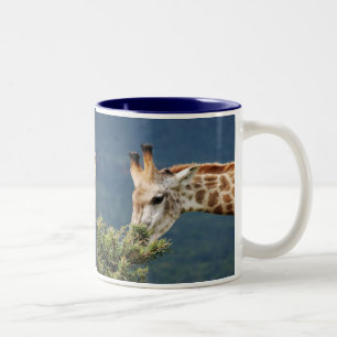 Giraffe die bepaalde bladeren eet tweekleurige koffiemok
