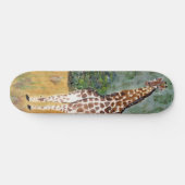 Giraffe die skateboard kijkt (Horizontaal)
