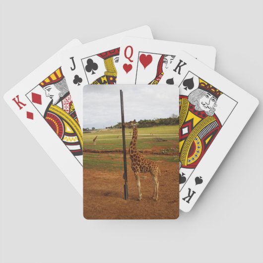 Giraffe die zijn pool schopt, pokerkaarten (Achterkant)