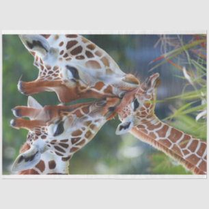 Giraffe Digitale Kunst Familie Decoupage Tissuepapier