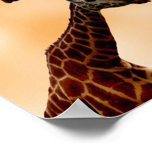 Giraffe Dubbele problemen, Poster (Hoek)