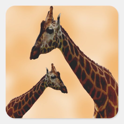 Giraffe Dubbele problemen, Vierkante Sticker (Voorkant)