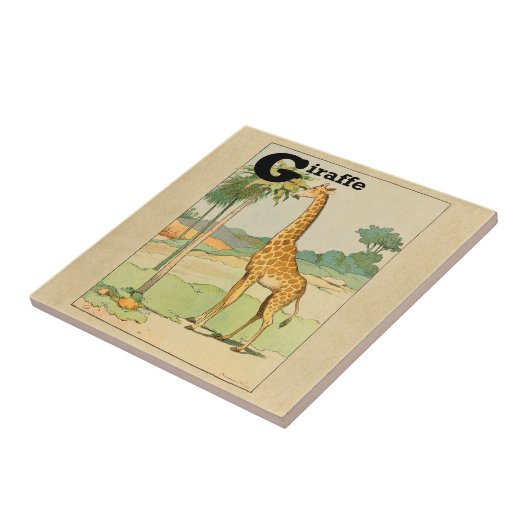 Giraffe Eating Acacia in de woestijn Tegeltje (Zijkant)