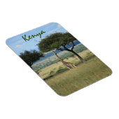 Giraffe Eating Tree in Kenia Magneet (Rechterzijde)