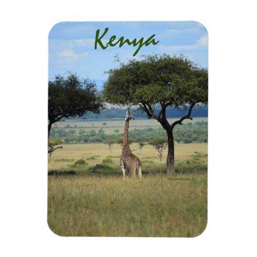 Giraffe Eating Tree in Kenia Magneet (Verticaal)