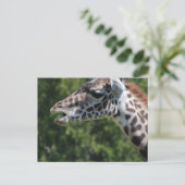 Giraffe Eet Briefkaart (Staand voorkant)