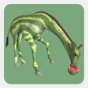 Giraffe eet watermeloen vierkante sticker