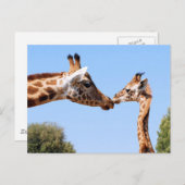 Giraffe en baby briefkaart (Voorkant / Achterkant)
