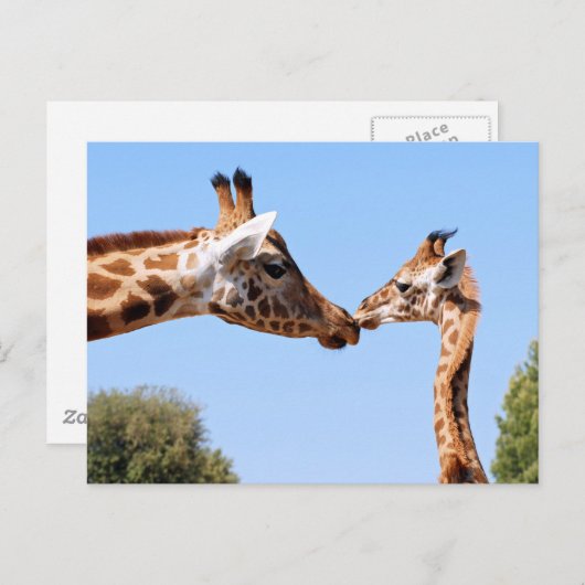 Giraffe en baby briefkaart (Voorkant / Achterkant)