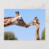 Giraffe en baby briefkaart (Voorkant)