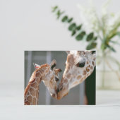 Giraffe en Baby briefkaart (Staand voorkant)
