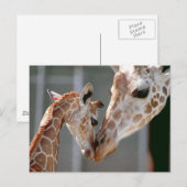 Giraffe en Baby briefkaart (Voorkant / Achterkant)