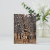 Giraffe en Baby Giraffe Briefkaart (Staand voorkant)