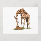 Giraffe- en baby-kus briefkaart (Voorkant)