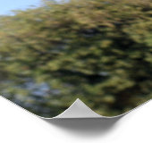 Giraffe en baby poster (Hoek)