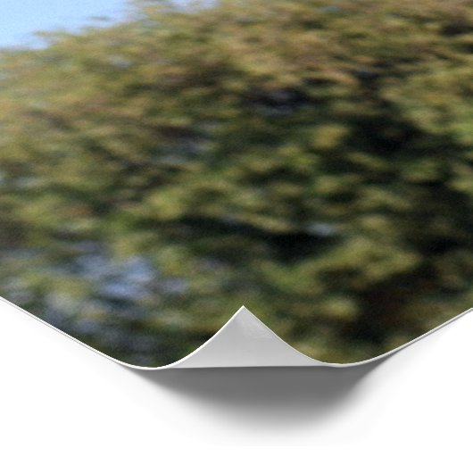 Giraffe en baby poster (Hoek)