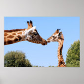 Giraffe en baby poster (Voorkant)