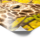 Giraffe en bladeren foto afdruk (Hoek)