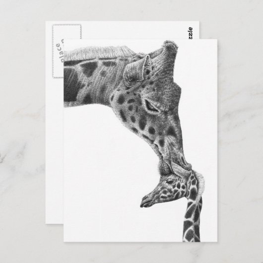 Giraffe en Kalf Briefkaart (Voorkant / Achterkant)