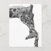 Giraffe en Kalf Briefkaart (Voorkant)