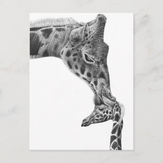Giraffe en Kalf Briefkaart (Voorkant)