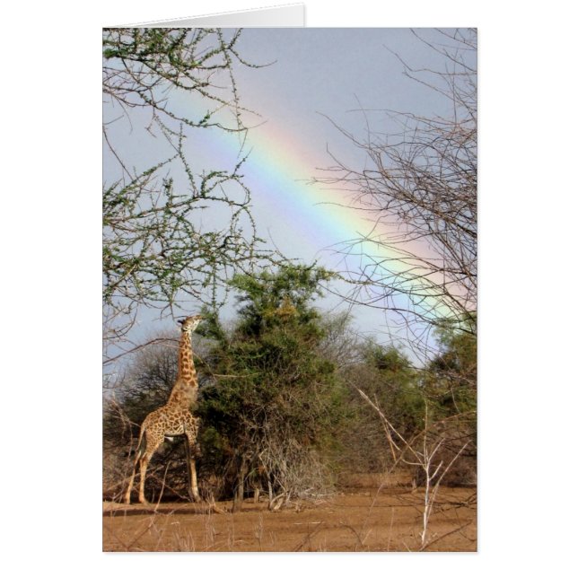Giraffe- en regenboogkaart (Voorkant)
