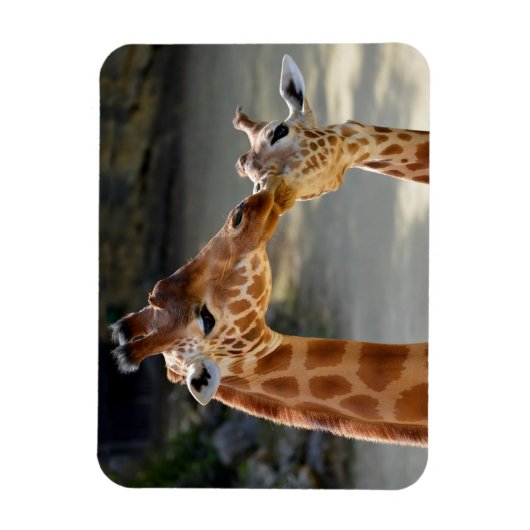 Giraffe en zijn baby magneet (Verticaal)