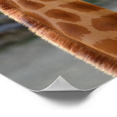 Giraffe en zijn baby poster (Hoek)