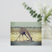 giraffe etosha briefkaart (Staand voorkant)