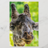 Giraffe Eyelashes Briefpapier (Voorkant)