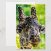 Giraffe Eyelashes Briefpapier (Voorkant / Achterkant)