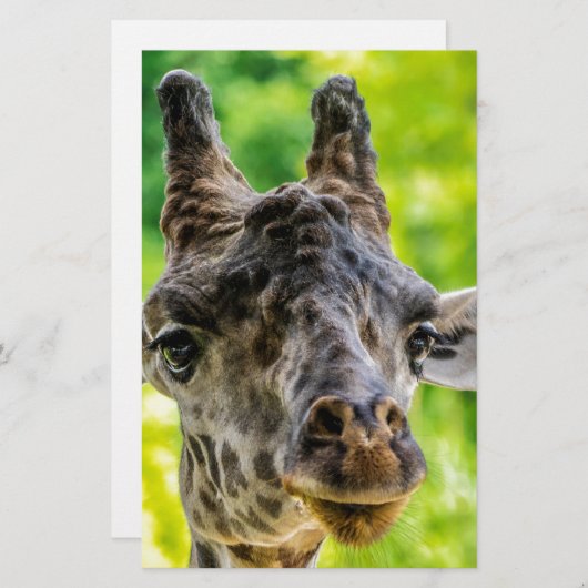 Giraffe Eyelashes Briefpapier (Voorkant / Achterkant)