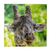 Giraffe Eyelashes Tegeltje (Voorkant)