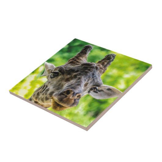 Giraffe Eyelashes Tegeltje (Zijkant)