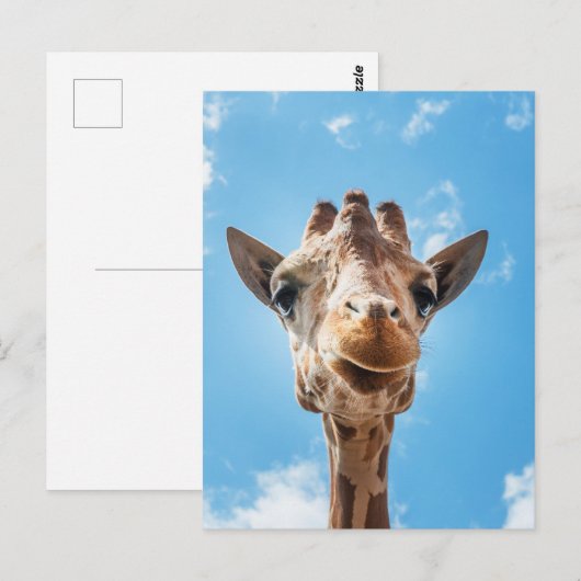 Giraffe Face Close-up Foto Briefkaart (Voorkant / Achterkant)