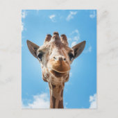 Giraffe Face Close-up Foto Briefkaart (Voorkant)