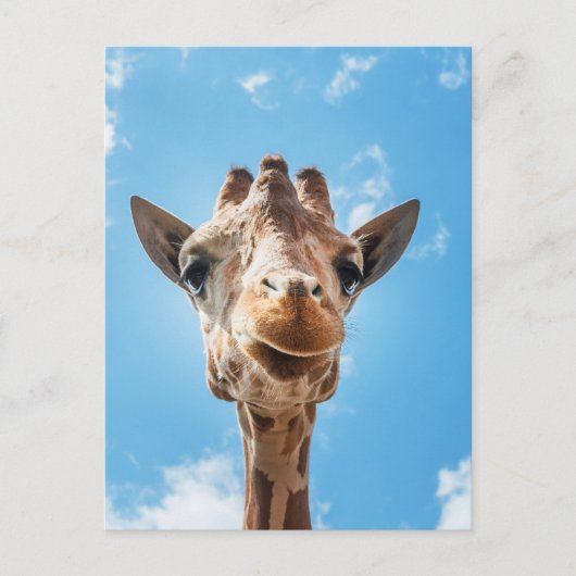 Giraffe Face Close-up Foto Briefkaart (Voorkant)