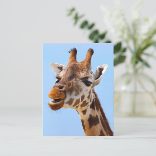Giraffe Face Close Up Fotografie Briefkaart (Staand voorkant)