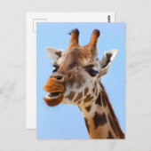 Giraffe Face Close Up Fotografie Briefkaart (Voorkant / Achterkant)