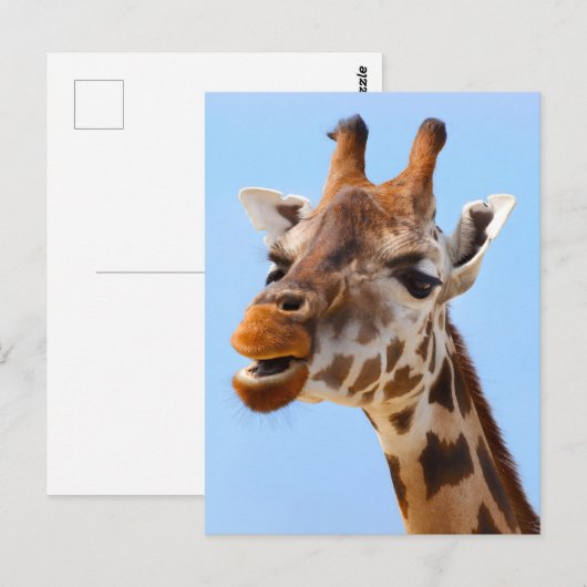Giraffe Face Close Up Fotografie Briefkaart (Voorkant / Achterkant)